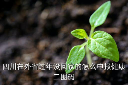四川在外省过年没回家的怎么申报健康二围码
