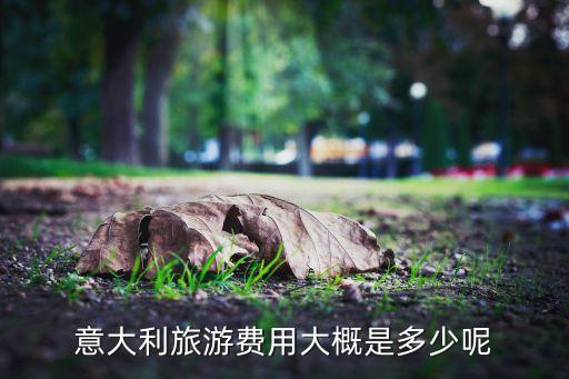 意大利旅游费用大概是多少呢