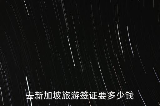 去新加坡旅游签证要多少钱