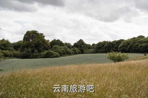 云南旅游卡一级代理，云南旅游吧