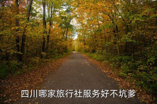成都中国旅行社锦江六分社，中国旅行社