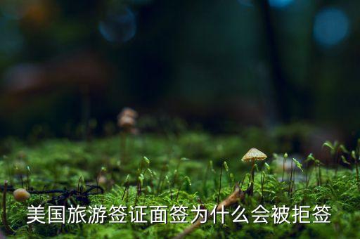 美国旅游签证面签为什么会被拒签