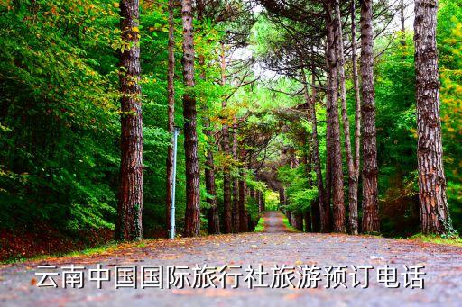 云南中国国际旅行社旅游预订电话