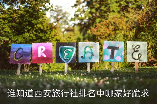 谁知道西安旅行社排名中哪家好跪求