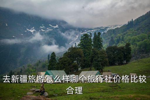 去新疆旅游怎么样哪个旅行社价格比较合理