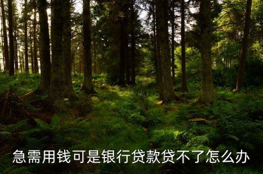 急需用钱可是银行贷款贷不了怎么办