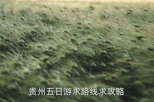 贵州五日游最佳路线图，贵州五日游求路线求攻略