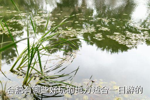 合肥有哪些好玩的地方适合一日游的