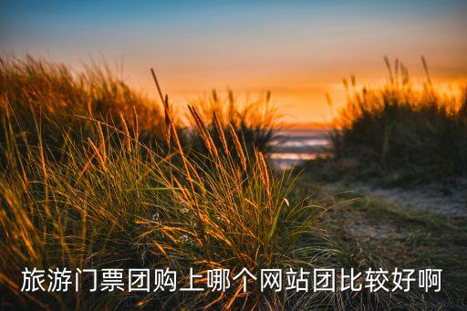 旅游门票团购上哪个网站团比较好啊