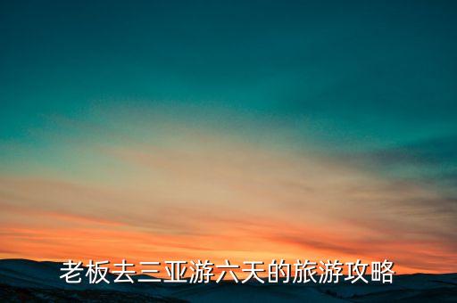 老板去三亚游六天的旅游攻略