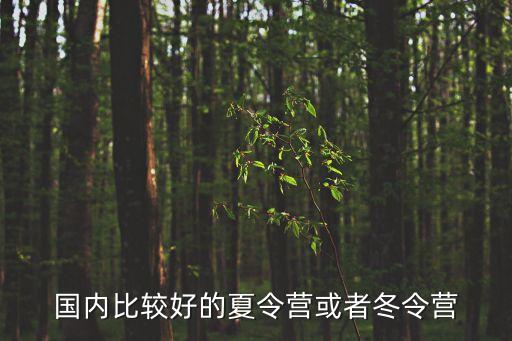 国内比较好的夏令营或者冬令营