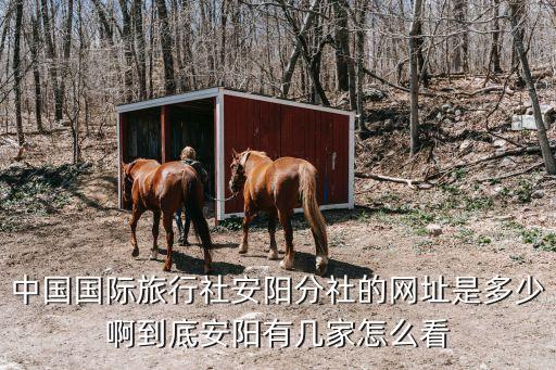 中国海外旅行社官网，最近想去旅游境外游报中国国旅旅行社怎么样大家给点建议
