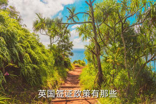 英国签证政策有那些