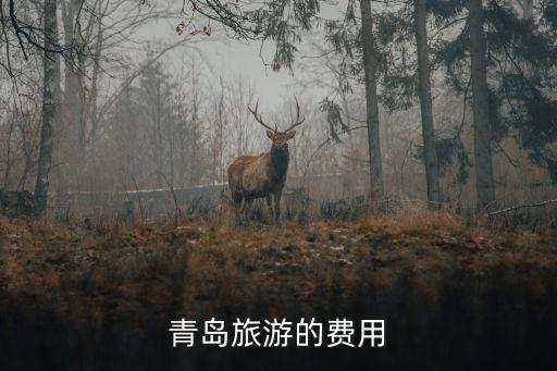 青岛旅游的费用