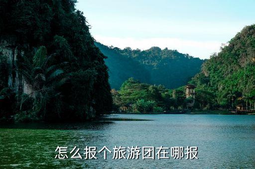 哪里可以报旅游团，一般怎么报旅游团