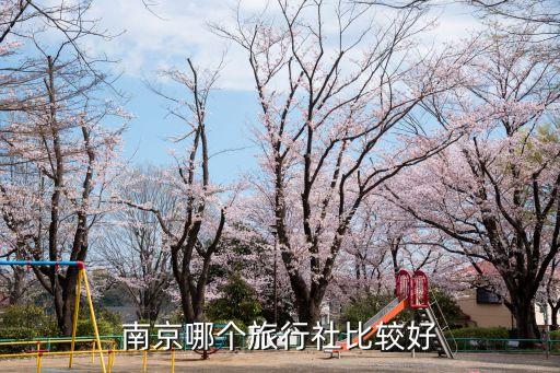 南京哪个旅行社比较好