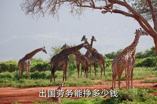 出国劳务能挣多少钱