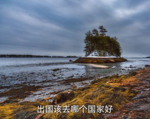 出国该去哪个国家好