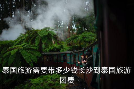 泰国旅游需要带多少钱长沙到泰国旅游团费
