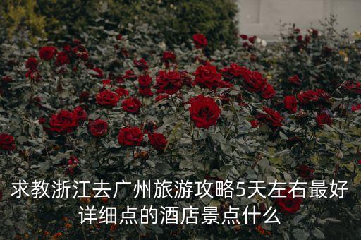 浙江五日游旅游攻略，求个杭州旅游详细攻略春节期间去5天左右
