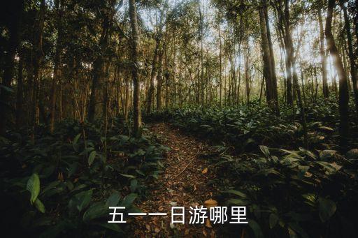 五一一日游哪里