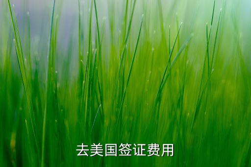 去美国签证费用