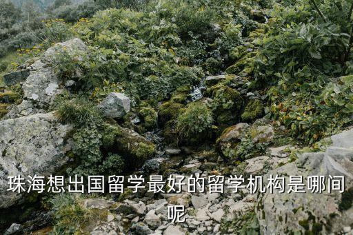 珠海想出国留学最好的留学机构是哪间呢