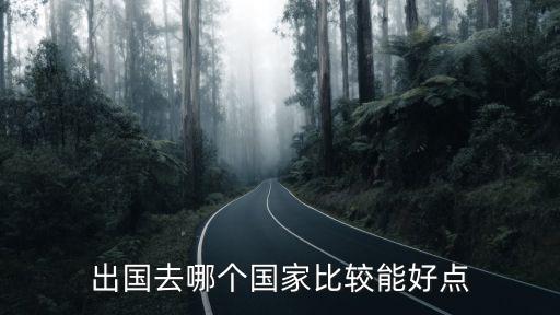 出国开车去哪个国家好，出国到哪个国家比较好