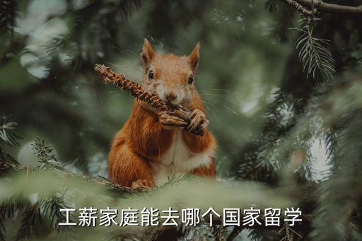 工薪阶层留学哪些国家，工薪家庭能去哪个国家留学