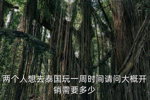 两个人想去泰国玩一周时间请问大概开销需要多少