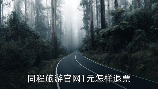 同程旅游官网1元怎样退票