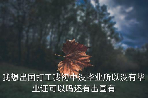 没学历可以出国打工吗，我想出国打工我初中没毕业所以没有毕业证可以吗还有出国有