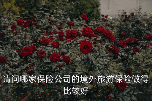 请问哪家保险公司的境外旅游保险做得比较好