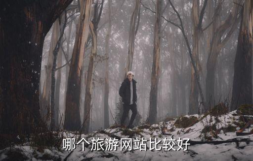 旅游上哪个网站比较好，什么旅游网站最好