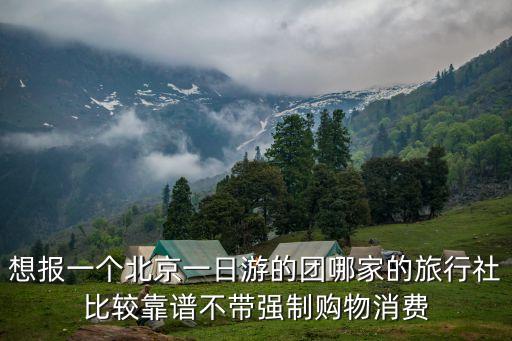 北京报团旅行，我现在在北京打工想在北京玩玩怎样报团谢谢