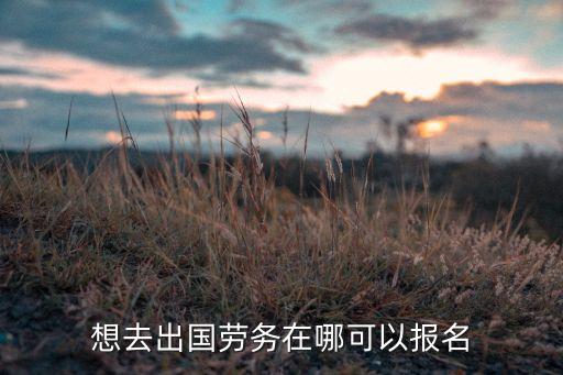 想去出国劳务在哪可以报名