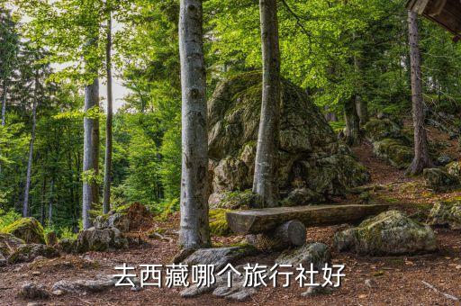 去西藏哪个旅行社好