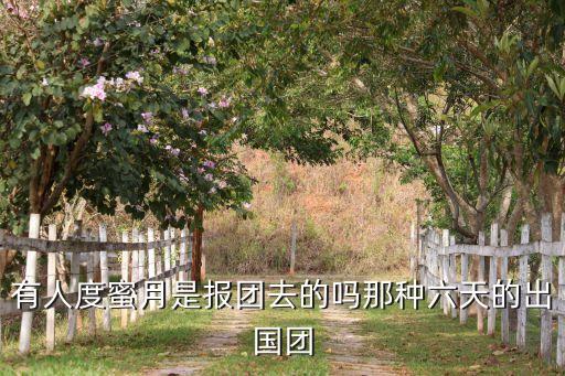 度蜜月旅游团，我和我爱人去度蜜月不知道那个旅游团好