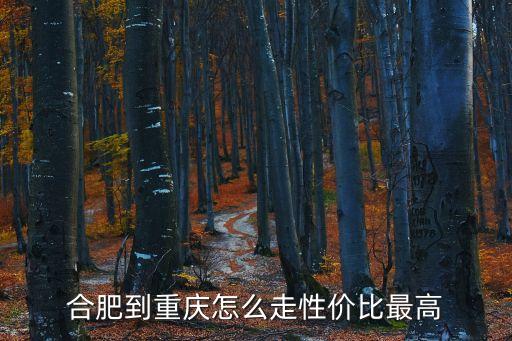 合肥到重庆怎么走性价比最高
