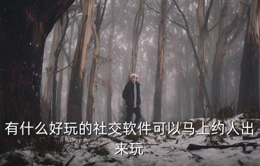 有什么好玩的社交软件可以马上约人出来玩