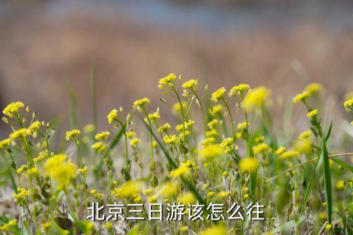 北京三日游该怎么往