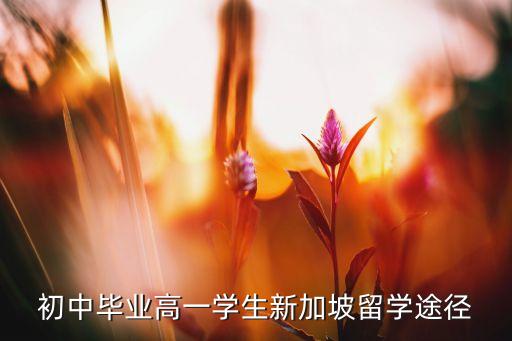 初中毕业高一学生新加坡留学途径