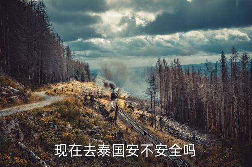 现在泰国旅游安全吗，现在去泰国安不安全吗