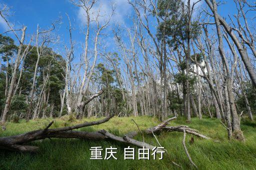重庆 自由行