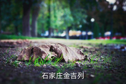 石家庄金吉列留学中介电话地址，石家庄金吉列