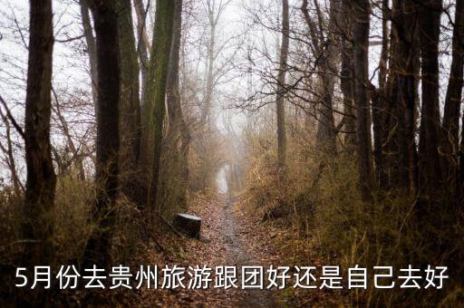 5月份去贵州旅游跟团好还是自己去好