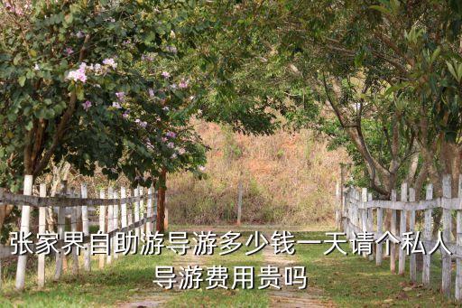 张家界自助游导游多少钱一天请个私人导游费用贵吗