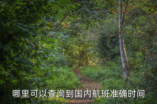 哪里可以查询到国内航班准确时间
