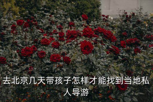 北京私人导游联系方式，去北京几天带孩子怎样才能找到当地私人导游