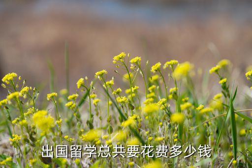 出国留学总共要花费多少钱